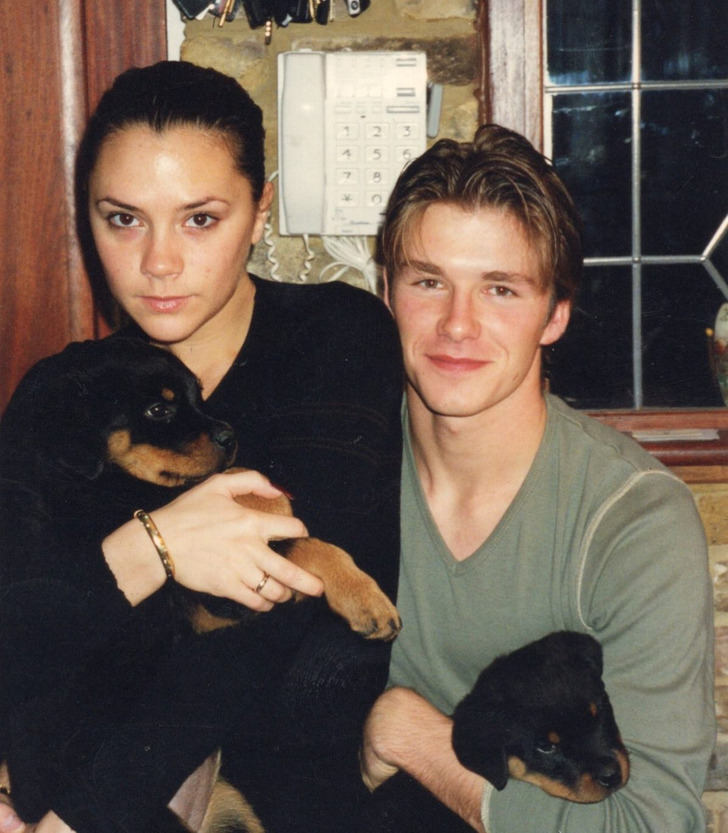 Young Victoria in black top, David Beckham in olive sweatshirt holding puppies, homely background.