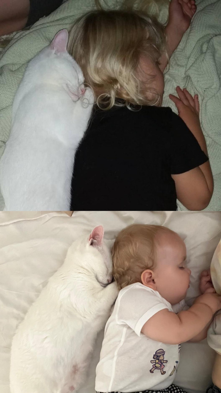The Same Cat Next to the First Baby, Then Next to the Second One 12 Years Later