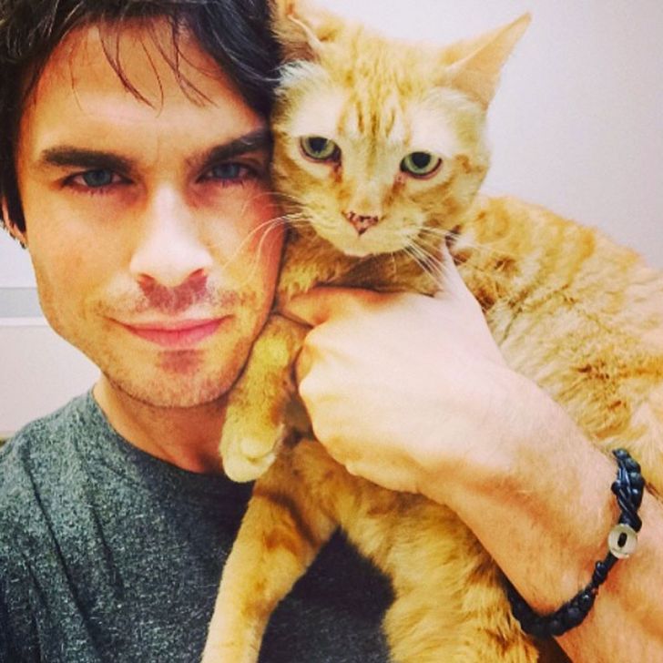 15 handsome men with their kittens