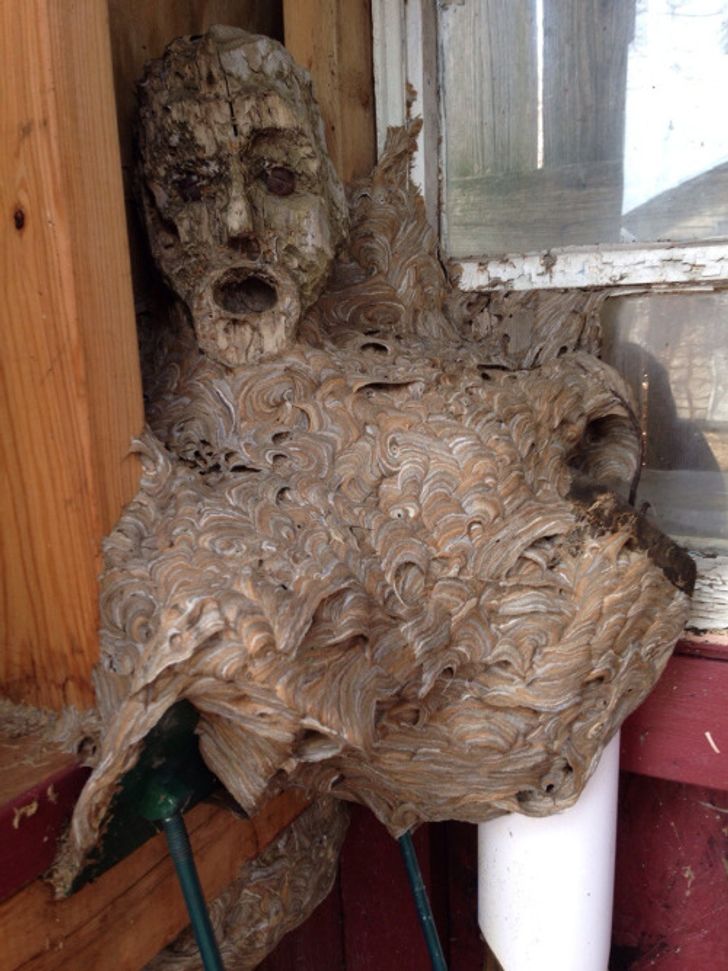 15 Creepy Photos That Gave Us the Shivers, and We Still Can’t Get Over Them