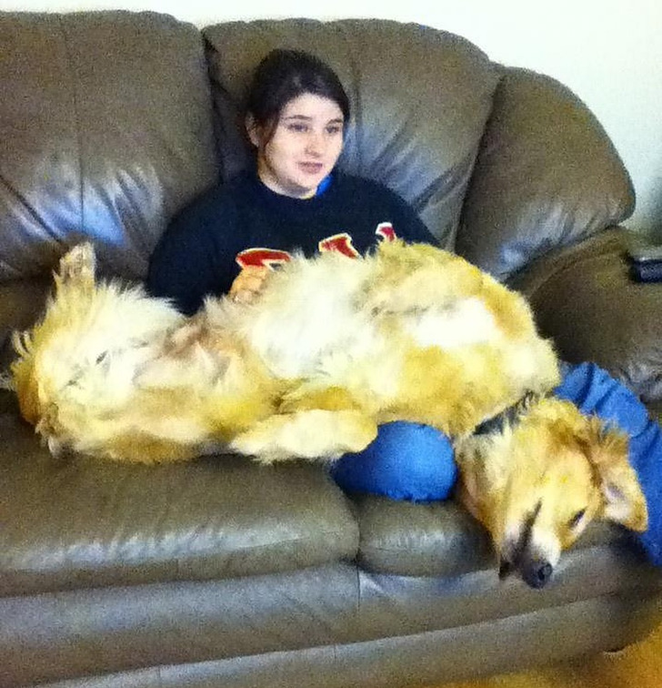 Home From College, and a Dog Who Forgot He Wasn’t a Puppy Anymore