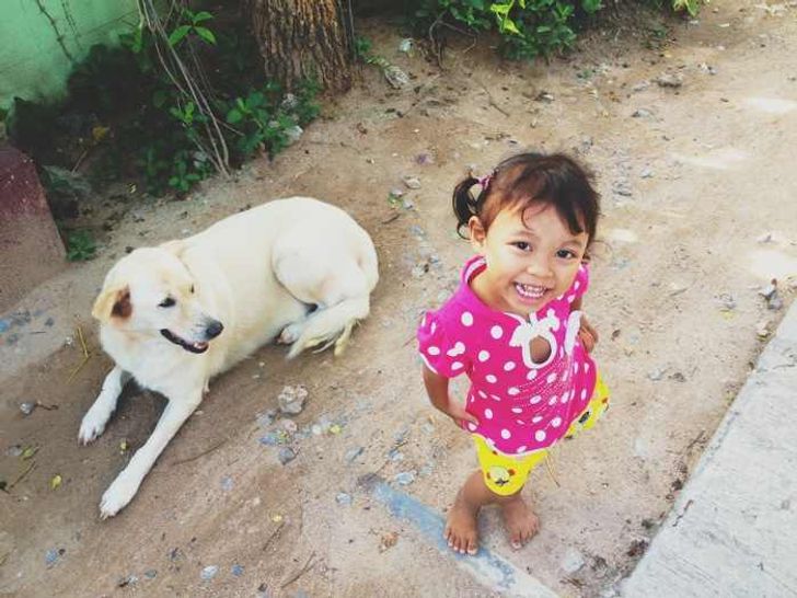 21 Strangers Photobombed Ordinary Photos and Turned Them Into Real Gems