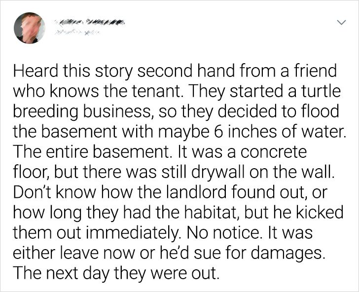 18 Stories About Tenants Who Astonished Their Landlords to the Core