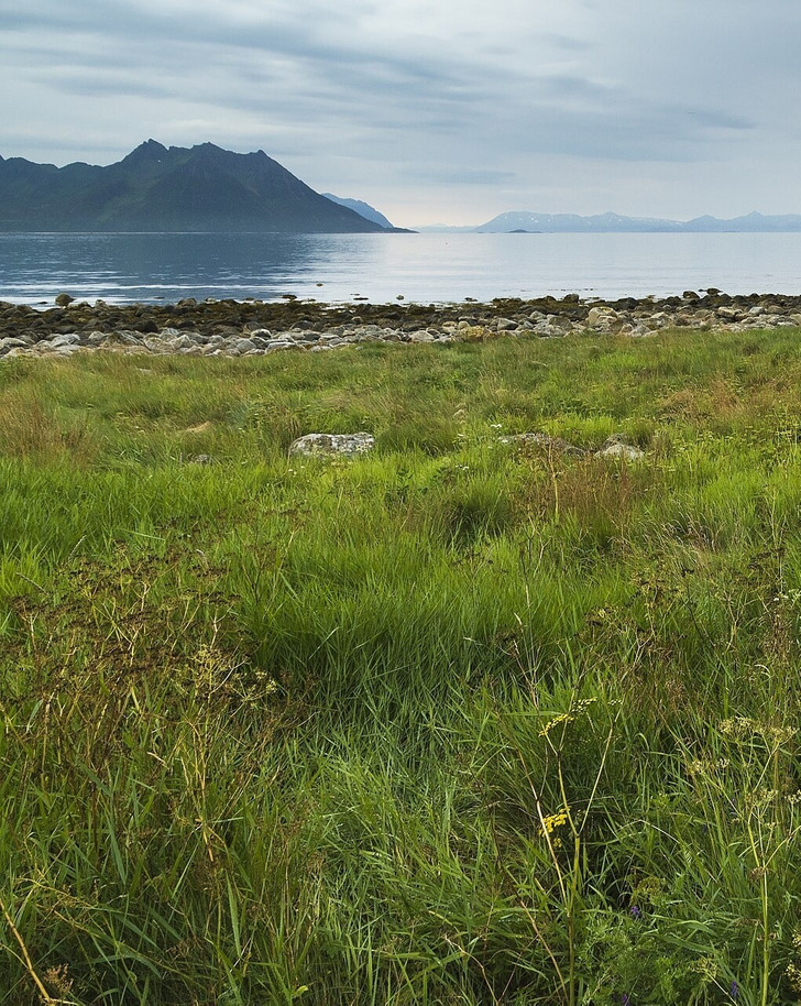 Andfjorden seen from Grunnfarnes, Senja, Norway