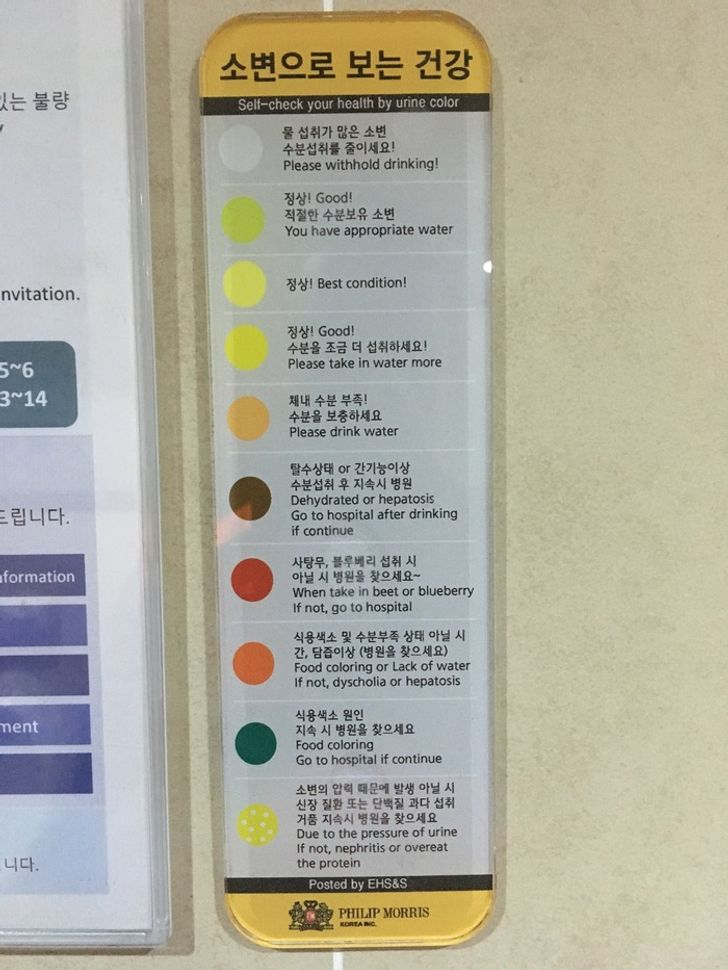 28 Things You Can Only See in Asia