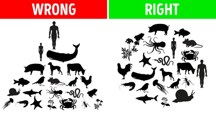 12 Myths You Learned in Biology Class That You Probably Still Believe