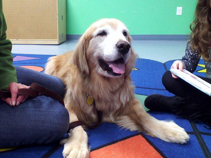 Angie, a Library Dog Kids Read To