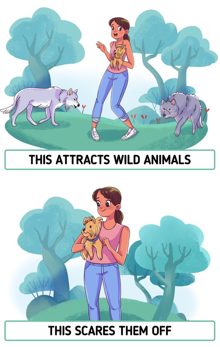 How to Stay Safe If You Find Yourself Face-to-Face With a Wild Animal