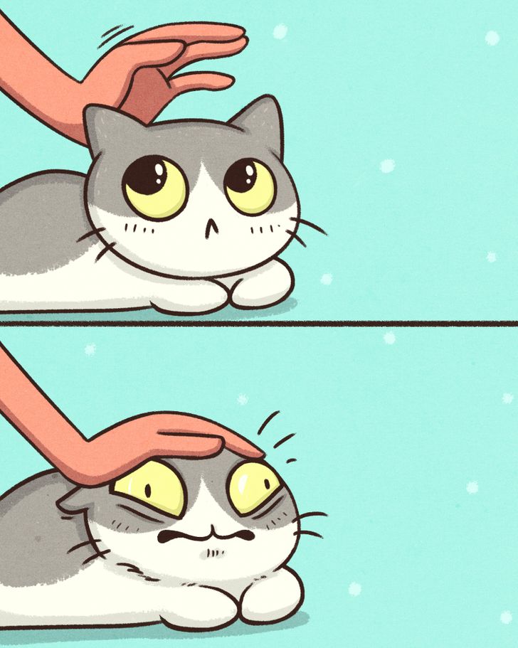 13 Comics About What We Do to Our Pets