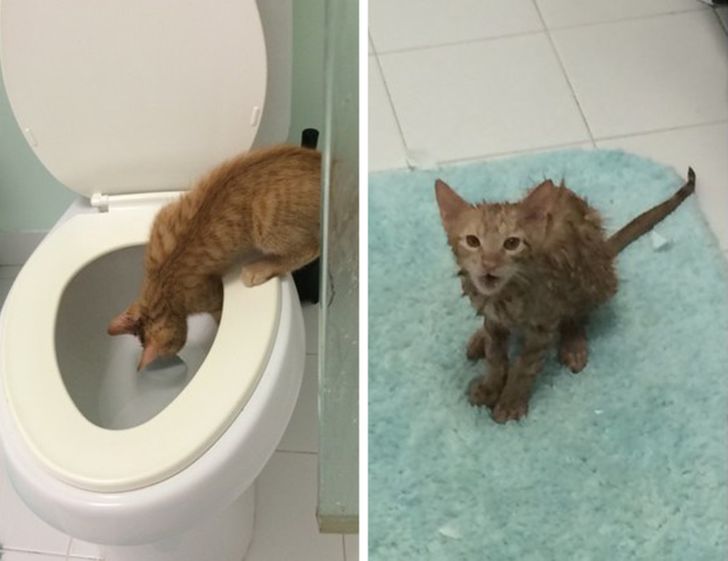 25 Unexpected Photos Showing That Sometimes Everything Goes Against You