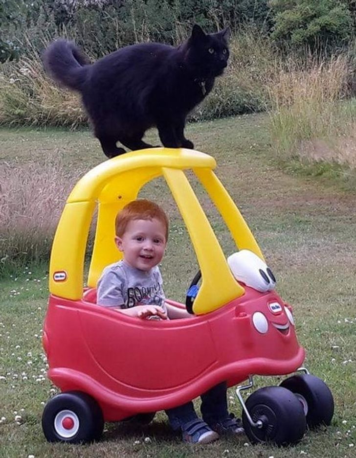 15 Photos That Prove Kids and Pets Are Pieces of the Same Puzzle