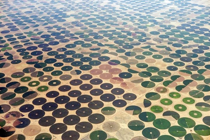 20 Truly Impressive Photos That Show an Unexpected Side of Life