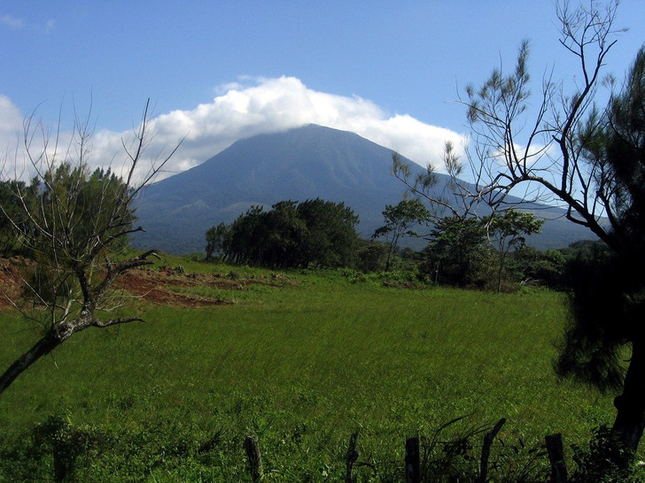 Forest in Guanacaste National Park, Costa Rica (not the study plot)
