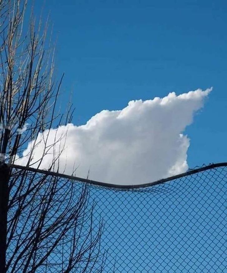 28 Astonishing Photos You’ll Have to Look at Twice
