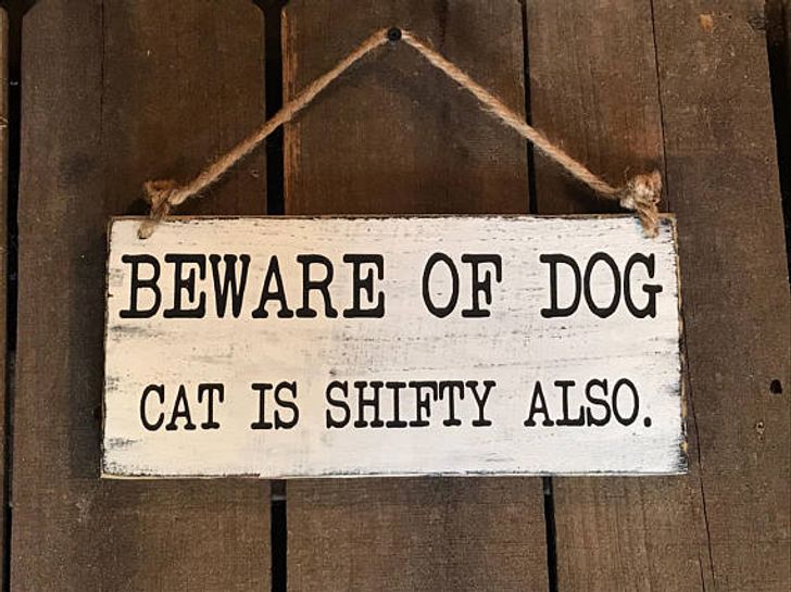 15+ Funny “Beware of the Dog” Signs and the Very Dangerous Dogs Behind Them