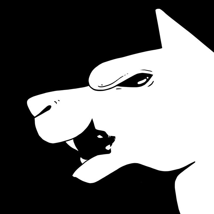 A dog’s head or a cat’s head?