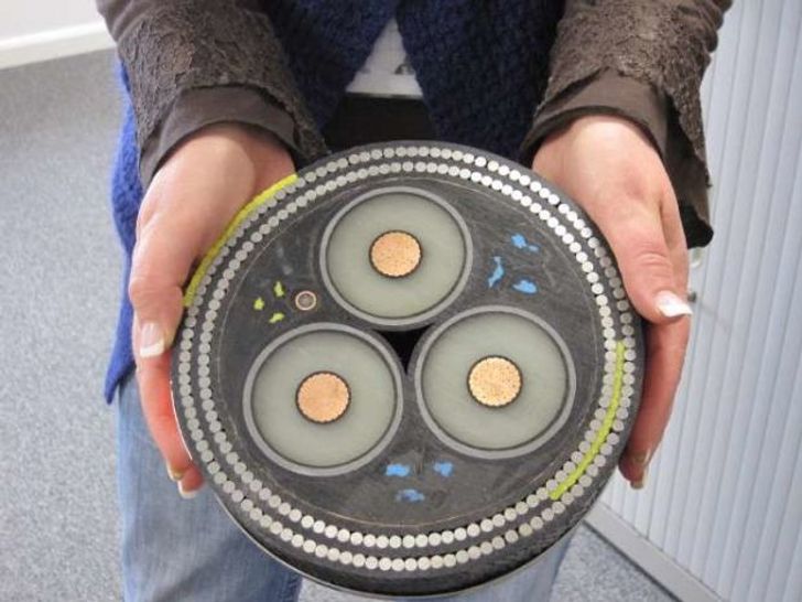 25 unbelievable things you probably never even knew existed