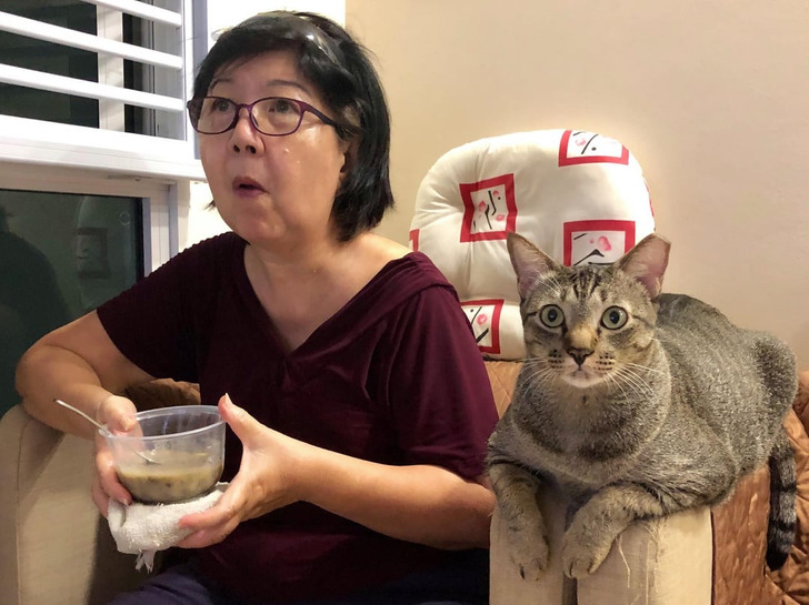 abc4d851fb8ccec9683a62043f 20+ Photos That Prove Owners and Their Pets Are Hilariously Alike / Bright Side
