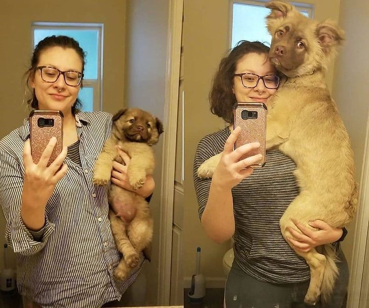 22 Pets Who Left Paw Prints on Their Owners’ Hearts