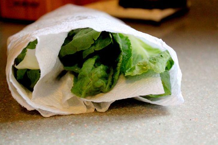 10 Tips to Keep Your Food Fresh Longer
