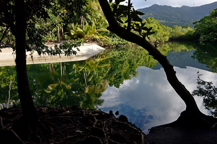Myall Creek in Daintree National Park, near Cape Tribulation