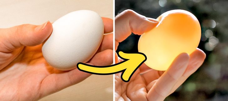 17 Science Experiments That Will Make Childhood Unforgettable