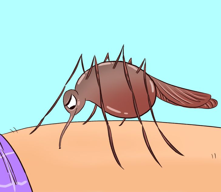What Happens to Your Body When a Mosquito Bites You