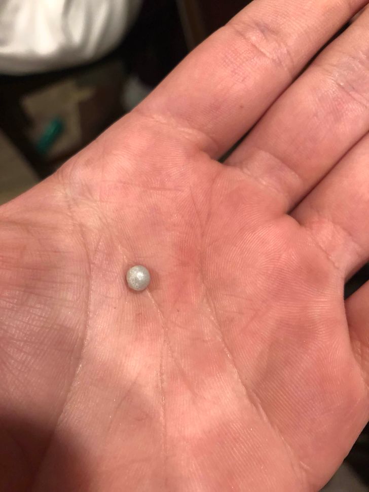 17 Photographs Anyone Should See at Least Once