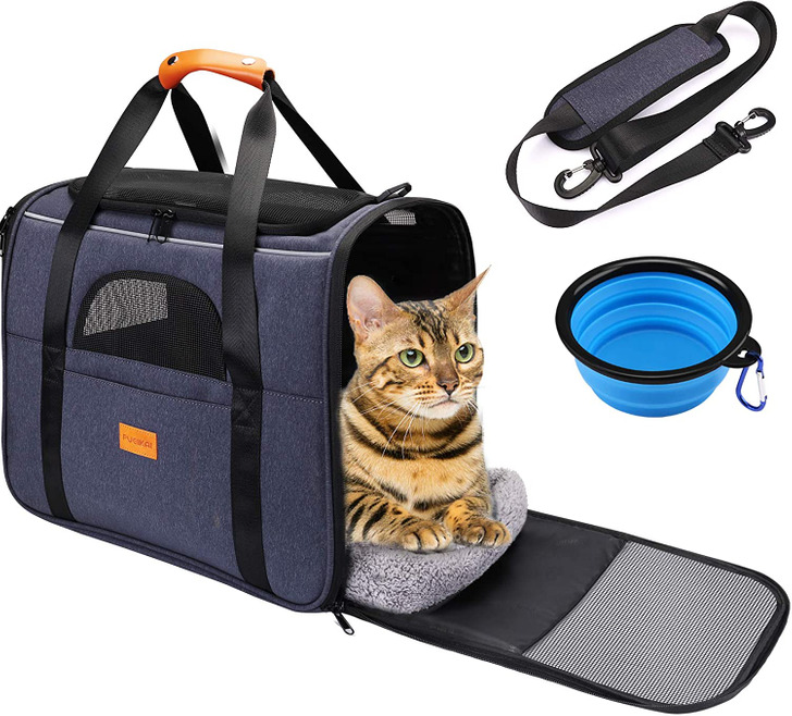 8 Highly-Rated Goods From Amazon for Pet Lovers / Bright Side
