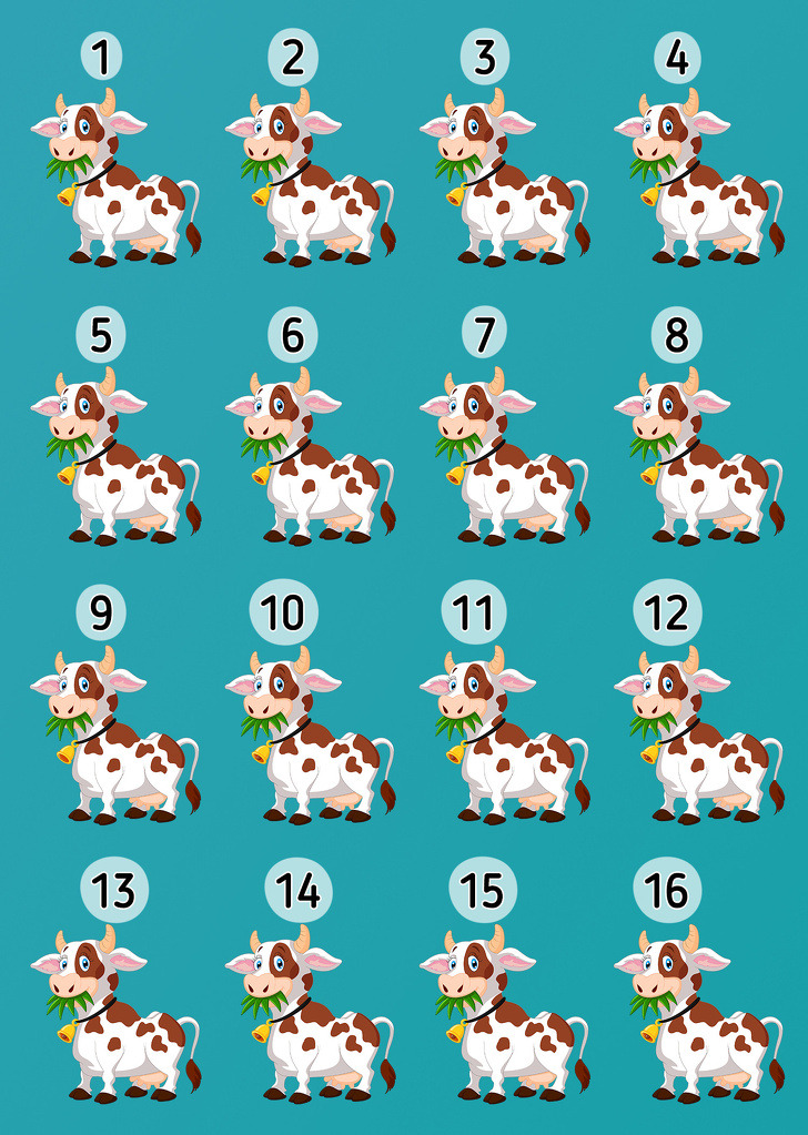 Can you find the odd cow?
