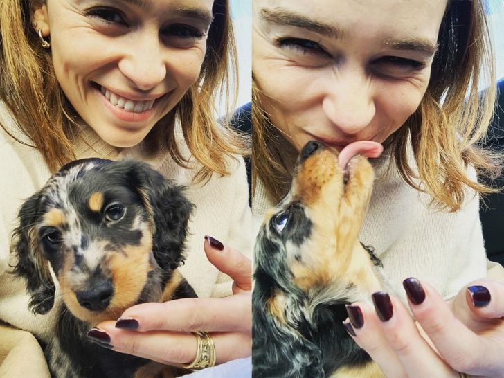 18 Pics of Celebrities and Their Pets That Can Disperse Any Gloomy Clouds With Their Preciousness