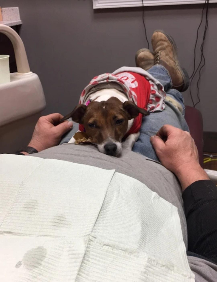 Ms. Winkles, Who Came to the Dentist’s Office to Calm Nervous Patients