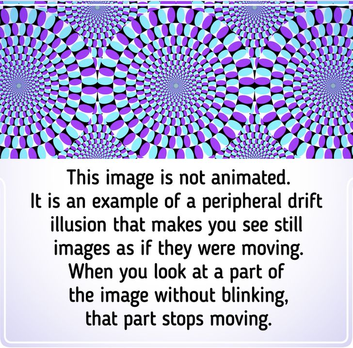 Optical Illusion Art: What You See Is Not What You Get