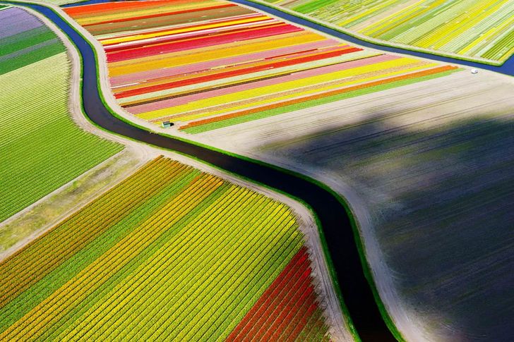 25 photos that prove the world is an utterly wonderful place