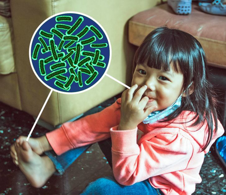 Bread mold experiment teaches the importance of handwashing