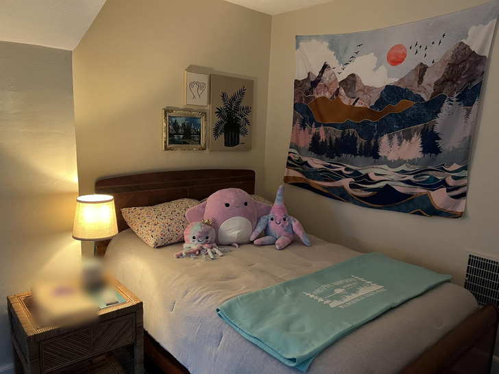 A Guest Room an Aunt Fixed Up for Her 8-Year-Old Niece