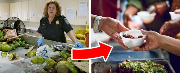 What Happens to Food That Gets Seized at the Airport