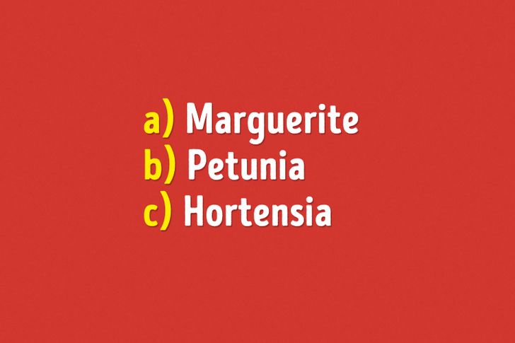 Test How Much Do You Know About Harry Potter Bright Side