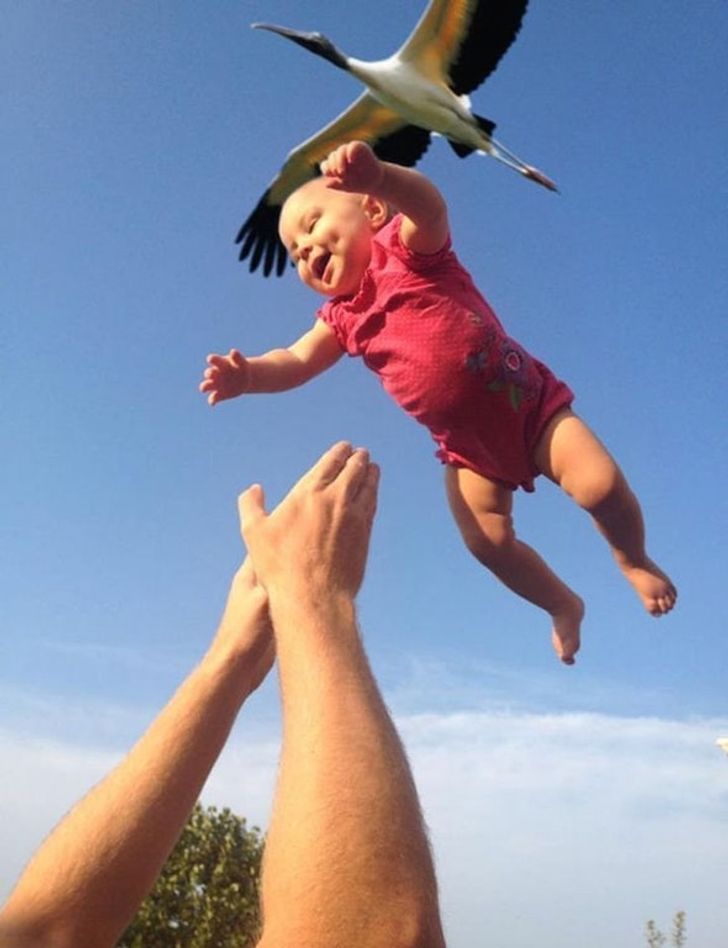 32 Unique Photos That Required Perfect Timing