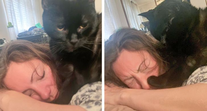 20 Photos Proving That Our Cats Aren’t Always the Sweet Kitties They Pretend to Be