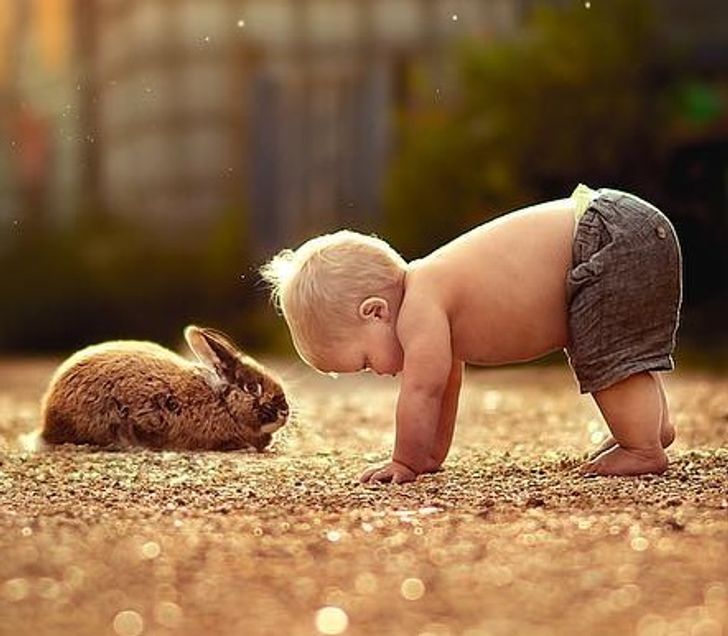Photographer Captures Kids Snuggling With Furry Friends and We Can’t ...