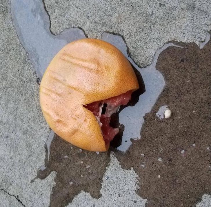 Fotot e gjërave të zakonshme që mund t'ju japin më shumë drithërime sesa mund t'ju shkaktojnë një film horror