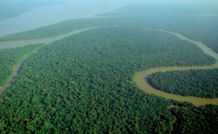 The Amazon rainforest from the air