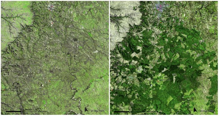 Earth, Then and Now: Dramatic Changes in Our Planet Revealed by Incredible NASA Images