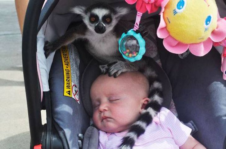 25 Pictures Prove Why Parenting Is a Total Hoax