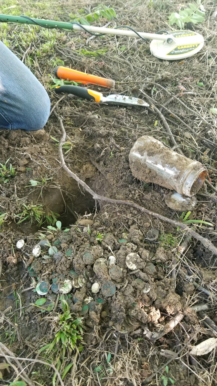 The Jar of Coins Everyone Said Was Buried in the Great-Grandparents’ Yard