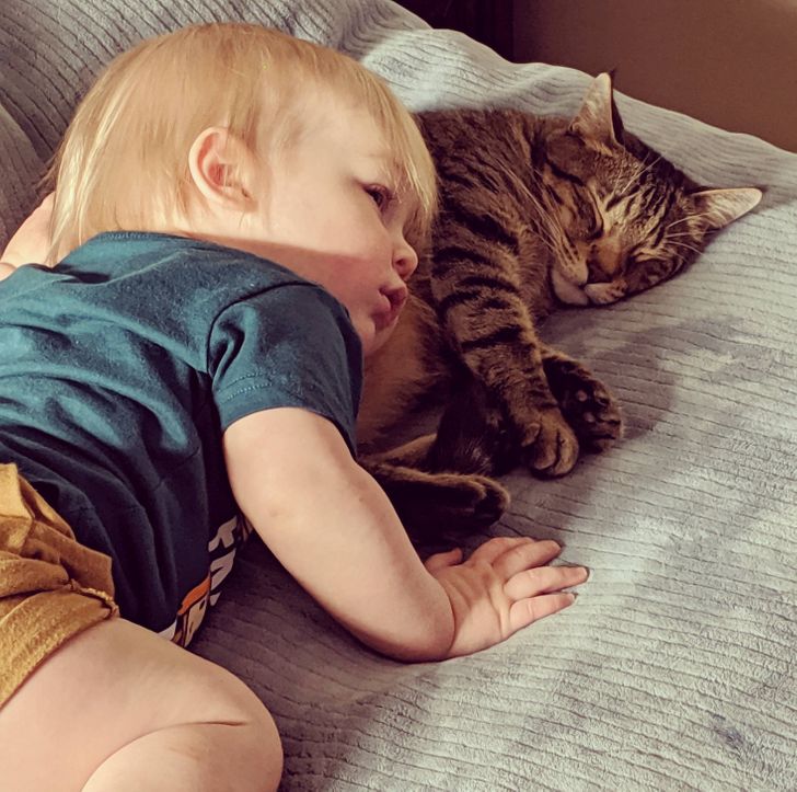 19 Human-Animal Bonds That Are Worth Their Weight in Gold
