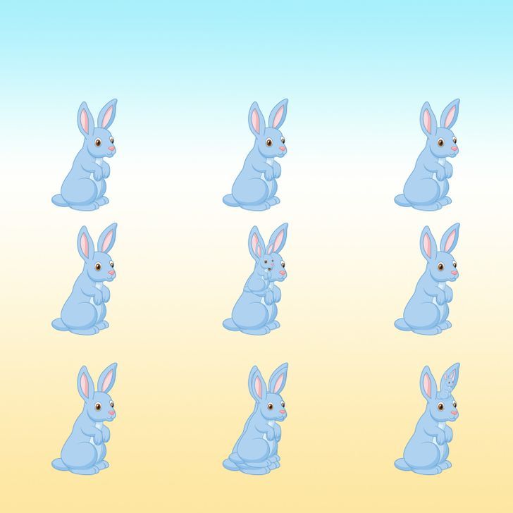 How many bunnies do you see in the picture below?