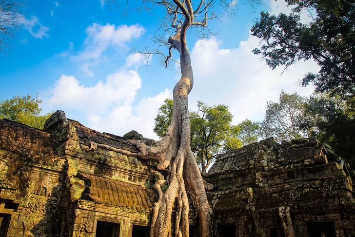 25 photos that prove the world is an utterly wonderful place