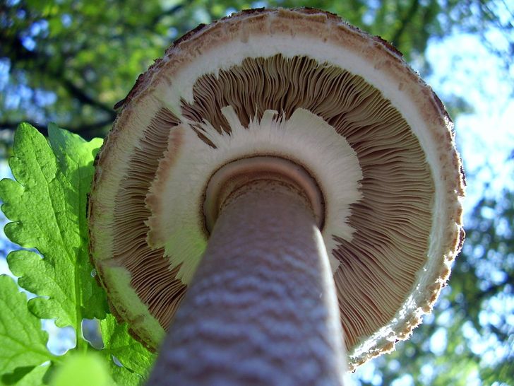 19 Perfectly Timed Photos That Can’t Be Ignored
